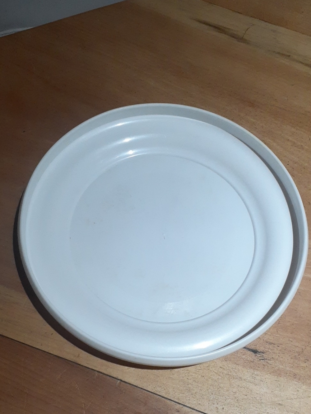 Vintage Disneyland Souvenir United Way Thanks For Your Support Frisbee - Picture 4 of 4